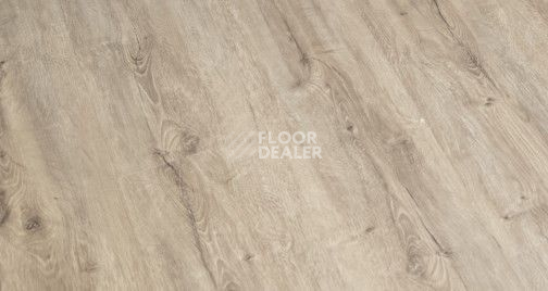 Кварцвиниловые полы Vinilpol Click 5мм 7897-EIR Дуб Неаполь фото 1 | FLOORDEALER